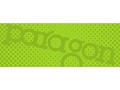 Paragon Advertising, Buffalo - logo